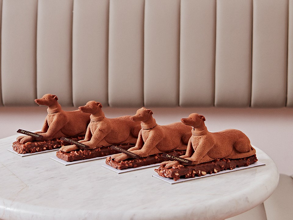 Presentation of chocolate hazelnut cake but in the form of a Connaught hound, which can be tasted in the Patisserie.