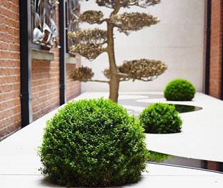 Outdoor spaces from The Connaught, The Garden of Illusion and its Moon Tree, by Tom Stuart-Smith.