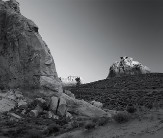 A black and white photo that symbolizes Brochan Watts' understanding of the importance of a holistic approach to training.