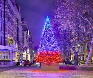 Christmas tree archive