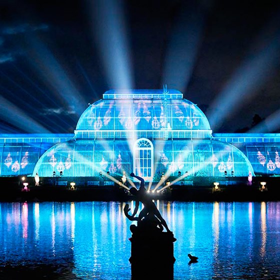 Christmas at Kew