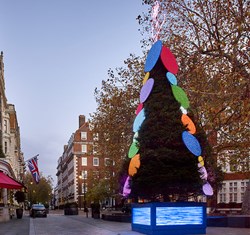 The Connaught Christmas Tree