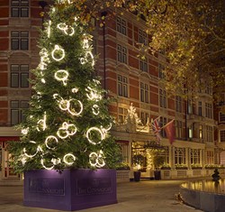Christmas tree at The Connaught 2023 by Dame Rachel Whiteread; it stands 31 feet tall and features 102 circular neon white loops