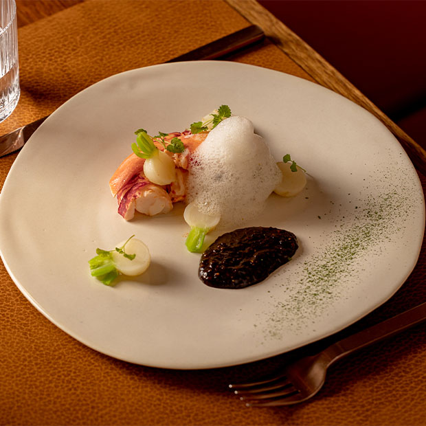 A refined seafood starter of lobster medallions with foam, small vegetable garnishes, and a dark sauce elegantly plated on a white dish.