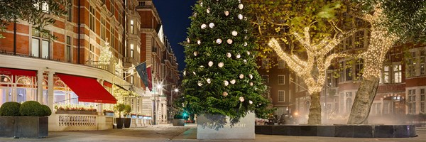 Large decorated Christmas tree outside The Connaught at night, with lit trees and red awnings along the street.