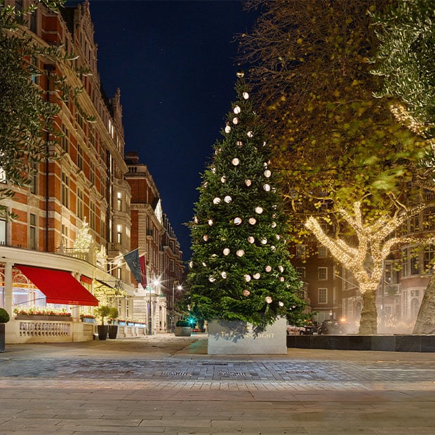 Wide view of The Connaught’s illuminated Christmas tree and sparkling street lights against the hotel’s red-brick façade at night.