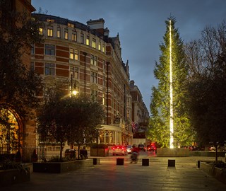 The Connaught Christmas tree from 2016, creatively designed by Sir Antony Gormley.