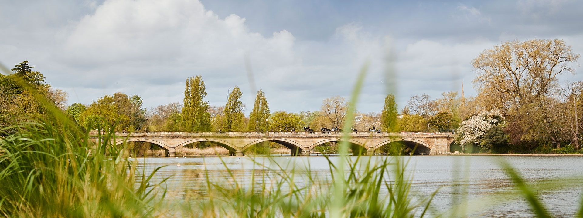 Ther Serpentine in Hyde Park with bridge in the background and flowers starting to bloom in foreground