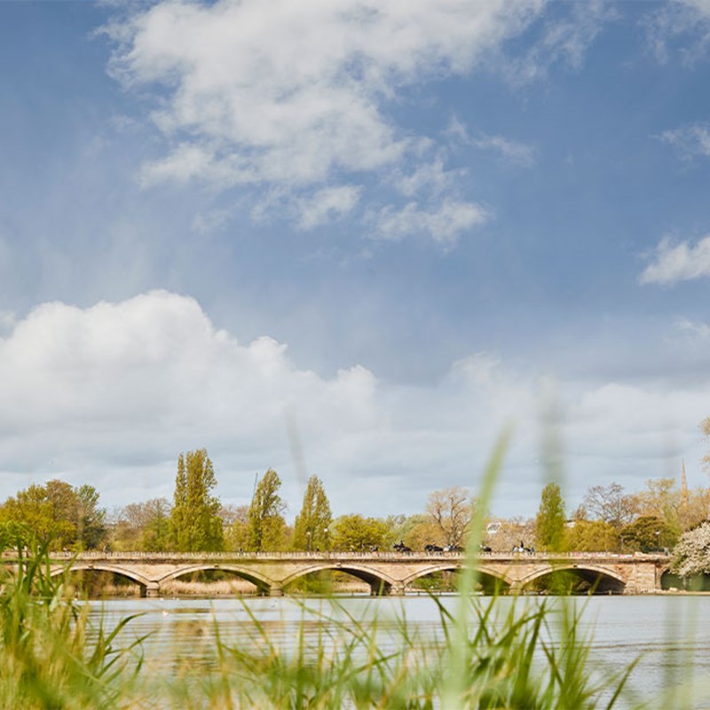 View of the serpentine, the lake with a bridge and horses on the road