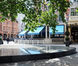 The Terrace