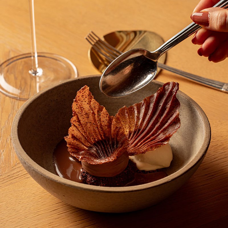 Chocolate dessert with sculpted chocolate shards, mousse, ice cream, and sauce, served in a rustic bowl.