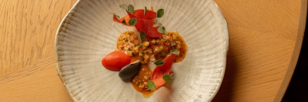 Fine dining plate with a seafood tartare topped with red vegetable crisps and micro herbs, served with a dark purée and bright red tomato garnish.