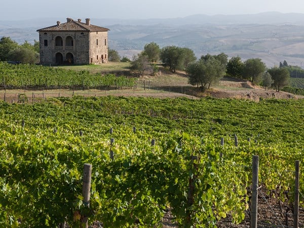 Traditional stone farmhouse overlooking rolling vineyards with green vines and olive trees, set against distant Tuscan hills under a hazy sky