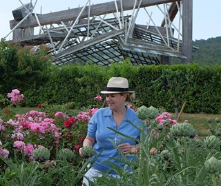 From Mayfair to Provence