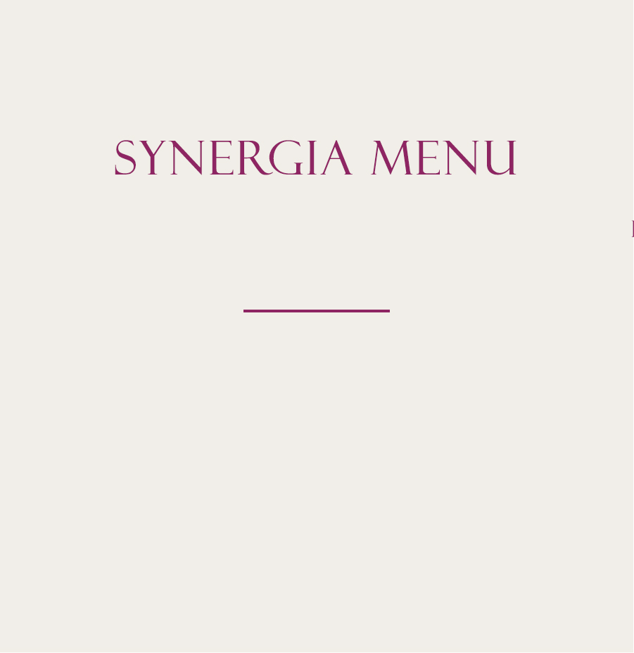 Synergia Menu Square Image