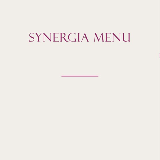 Synergia Menu Square Image