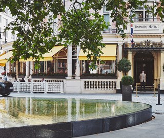 The Terrace