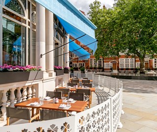 The Terrace