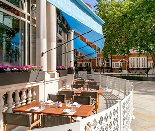 Talk of the {Terrace}