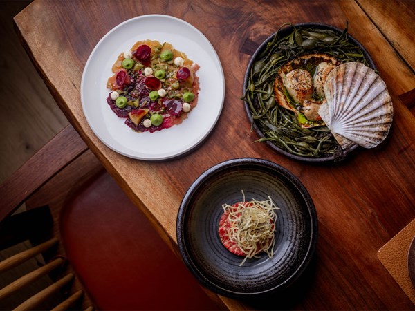 Three gourmet starters on a wooden table: beetroot carpaccio, seared scallops in shell, and a tartare with crisp garnish.
