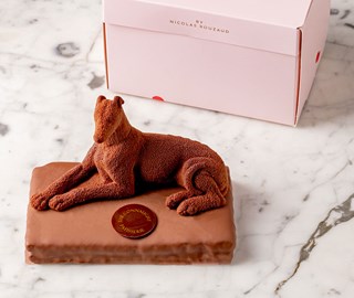 Chocolate patisserie 'Connaughty Hound', presented on a chocolate base with a pink box behind