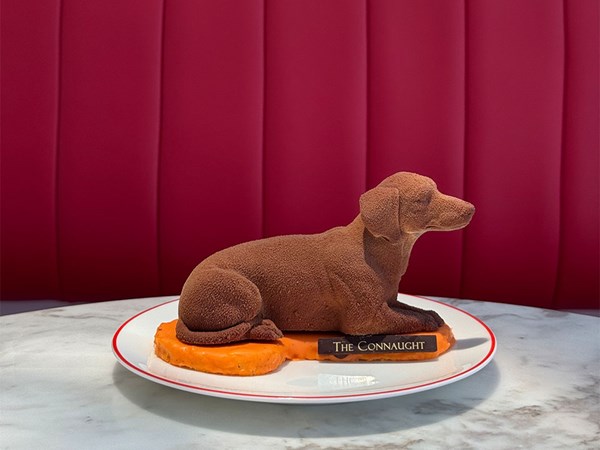 A chocolate dachshund-shaped dessert on an orange base sits on a white plate with red trim, in front of red seating.