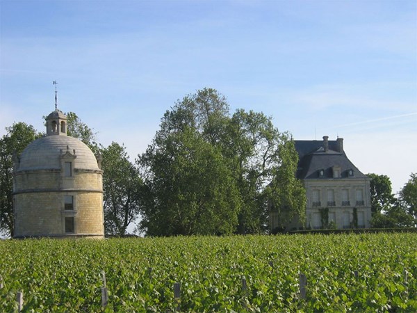 Vineyard with a round stone tower and a château behind trees under a clear blue sky.