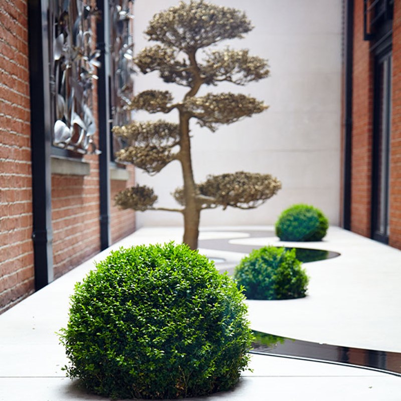 Minimalist courtyard with manicured topiary spheres, abstract tree sculpture, and red brick walls on either side under natural light.