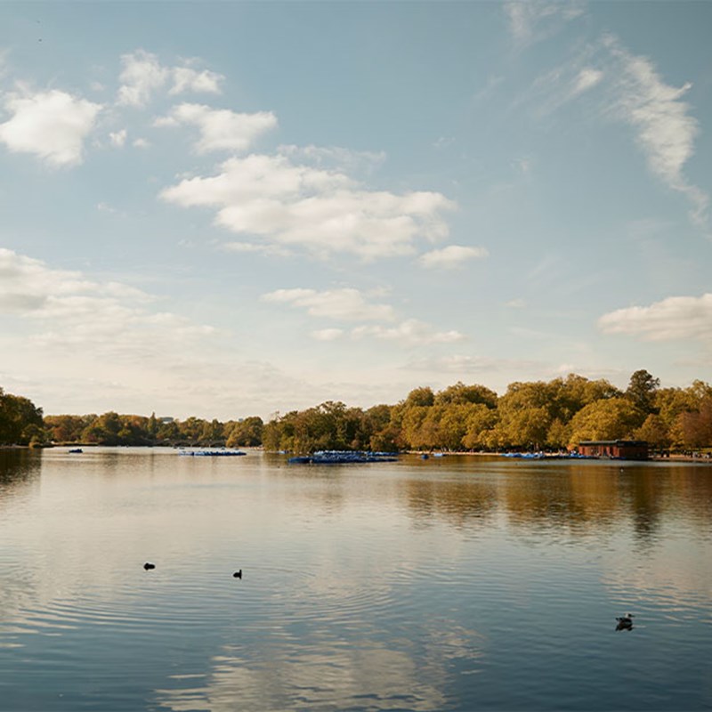 Calm lake reflecting the sky, with distant paddle boats, lush trees lining the banks, and a few ducks swimming.