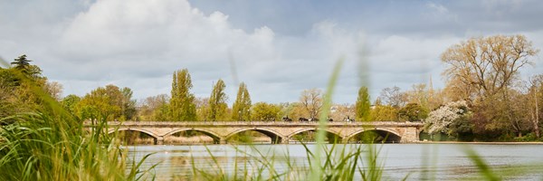 View of bridge over The Serpentine, with trees in the background