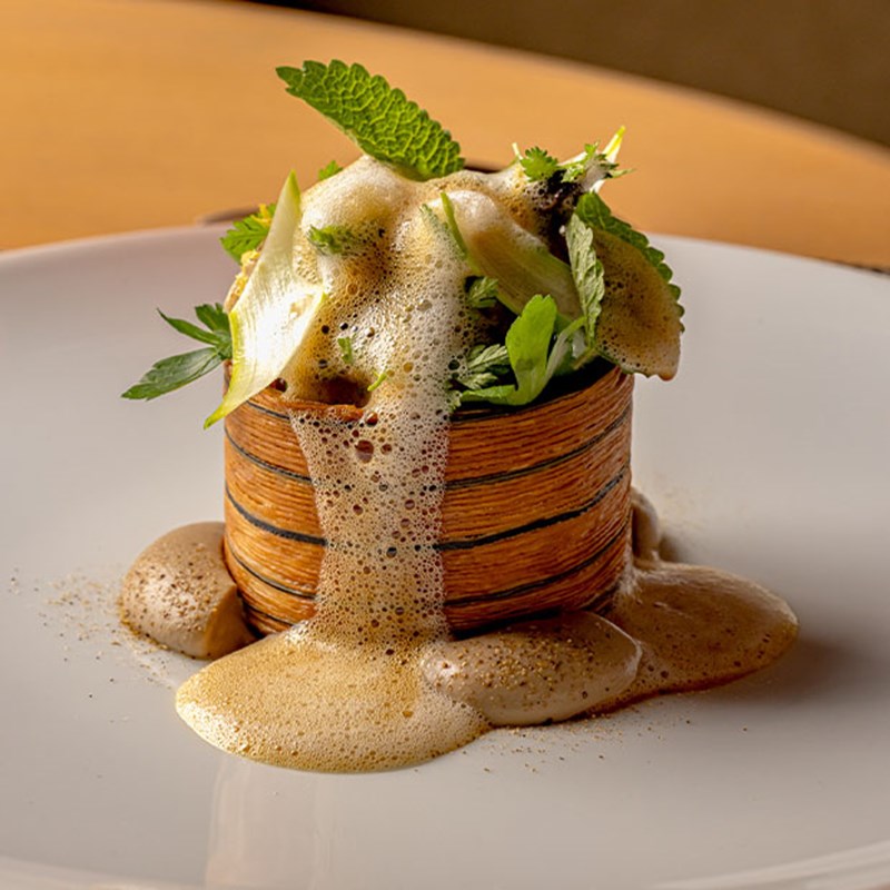 Gourmet vegetable dish with a decorative layered potato cylinder, topped with herbs and surrounded by foam, served on a white plate with rich textures.