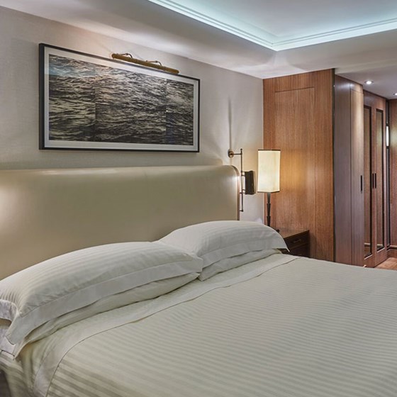 Contemporary Superior Room