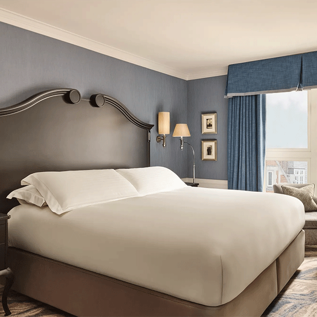 Elegant hotel bedroom with a king-size bed, upholstered headboard, soft blue walls and natural light from a window.