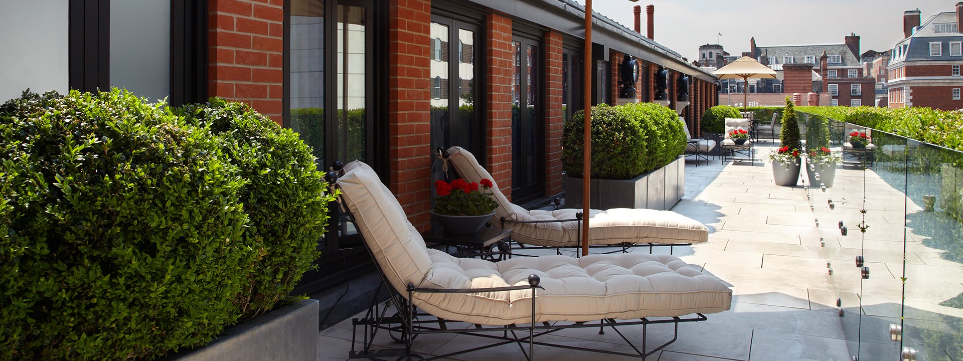 Sun loungers on the terrace room suite with green shrubs around them.