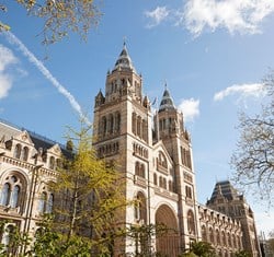 Natural History Museum with trees in the foreground